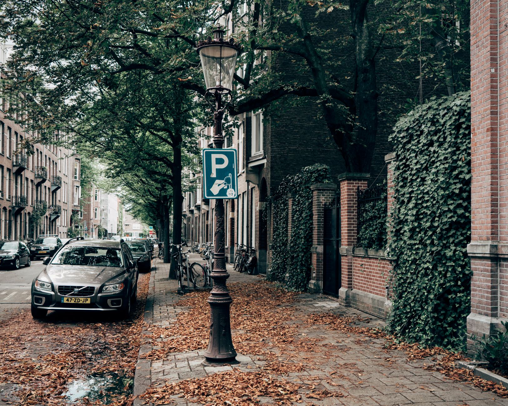 BBC research finds 50% of English councils permit pavement parking