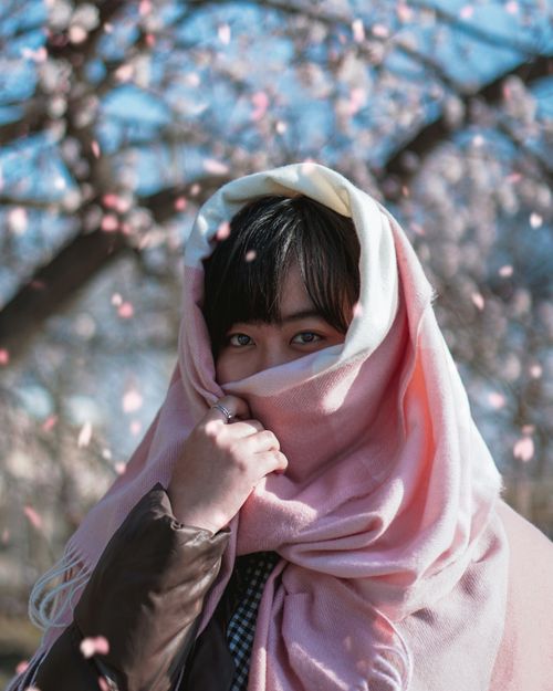 Free Asian woman with pink scarf enjoys cherry blossoms in Japan. Stock Photo