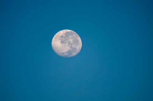 Free A detailed shot of the moon set against a clear blue sky, showcasing its surface texture. Stock Photo