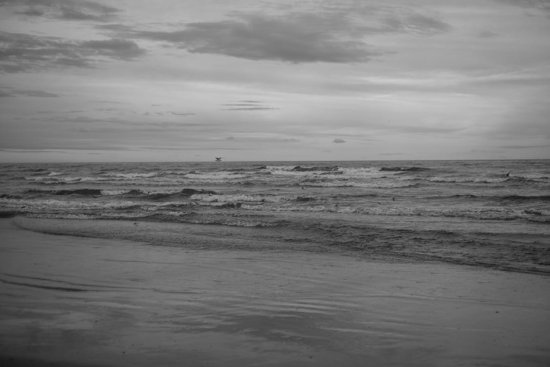 Grayscale Photo of Ocean Waves · Free Stock Photo