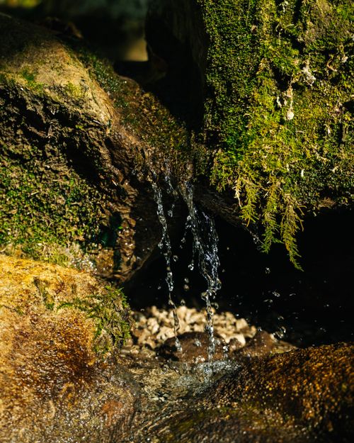 Free Close-up of moss-covered rocks with spring water cascading. Photographed in Muggendorf, Austria. Stock Photo