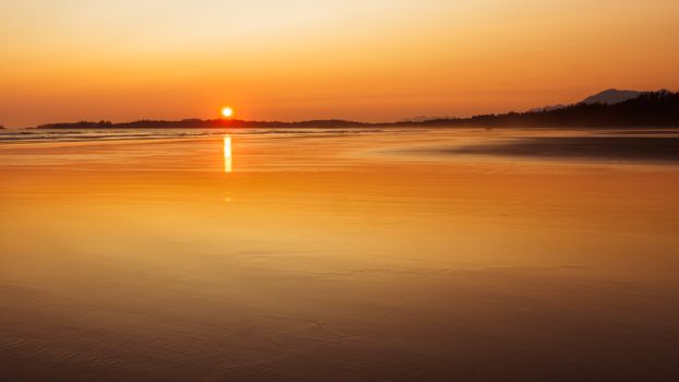 A serene scene of a golden sunset over Tofino beach in British Columbia, Canada.
