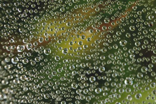 Free Macro photograph capturing dewdrops on a spider web against a blurred natural background. Stock Photo