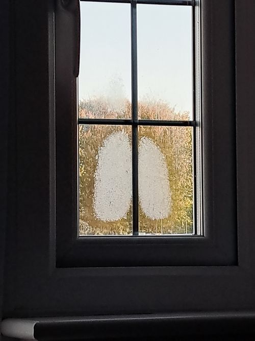 Free stock photo of condensation, dark, frost Stock Photo