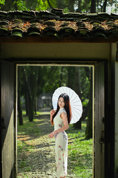 Woman in traditional dress holding parasol in peaceful outdoor scene.