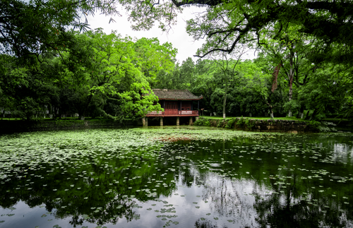 Free Tranquil pond with green foliage and pavilion in scenic park. Stock Photo