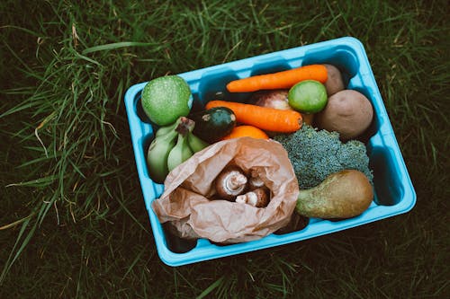 Plastic Container With Fruits and Vegetables on Green Grass