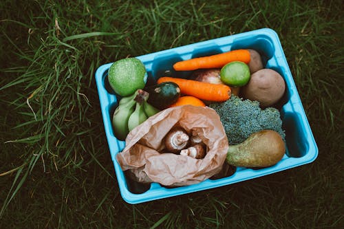 Recipiente De Plástico Con Frutas Y Verduras Sobre La Hierba Verde