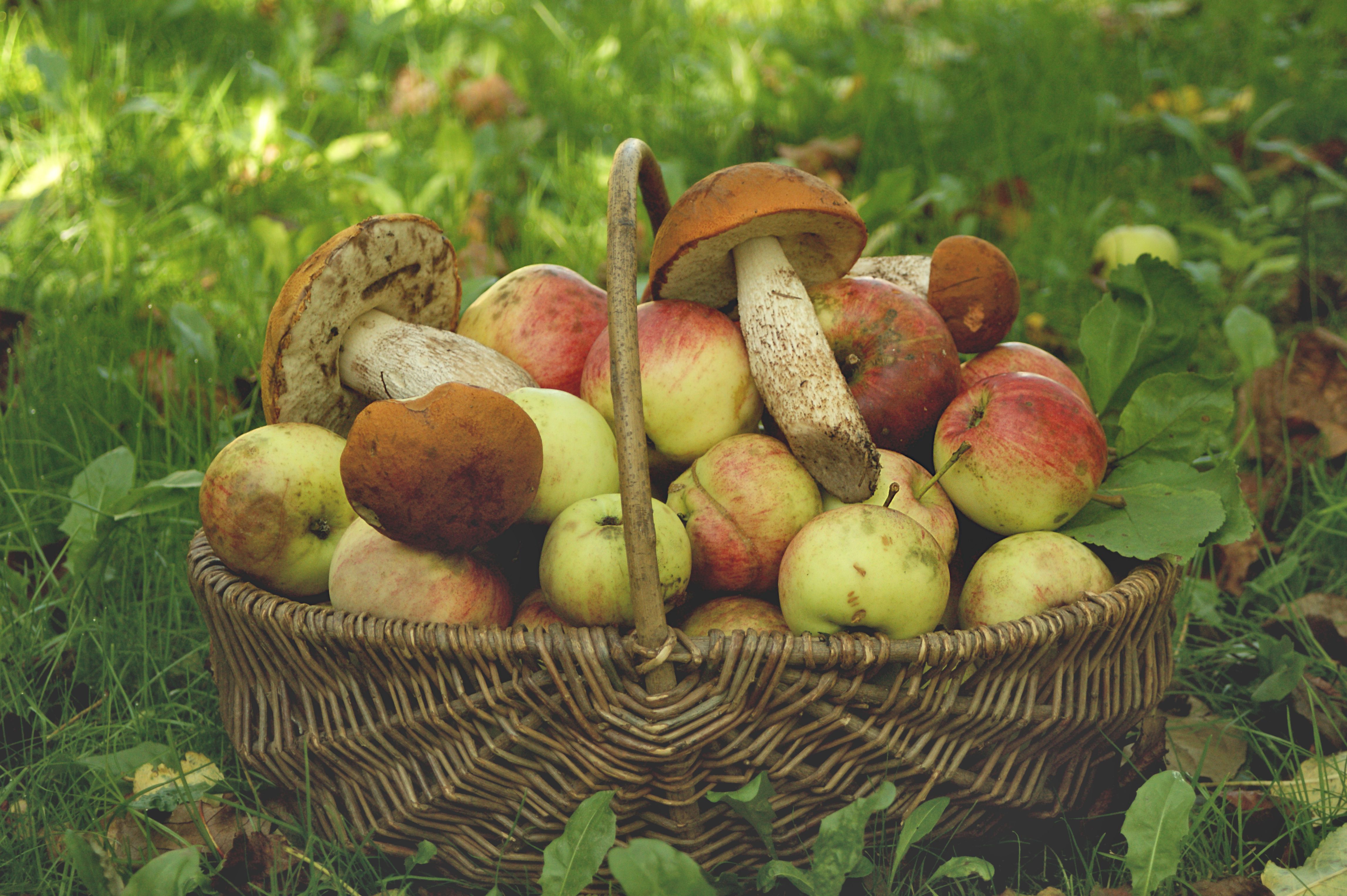 Grasse — Food, Grasse