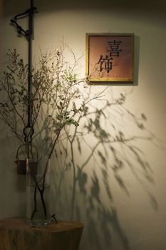 Shadow play of branches and Asian wall art in a serene setting.