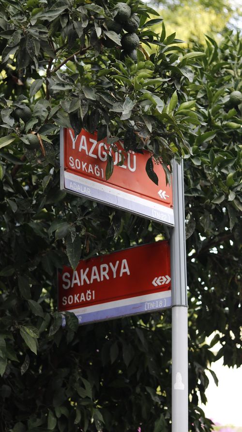 Free Street signs Yazgülü and Sakarya surrounded by green foliage. Stock Photo