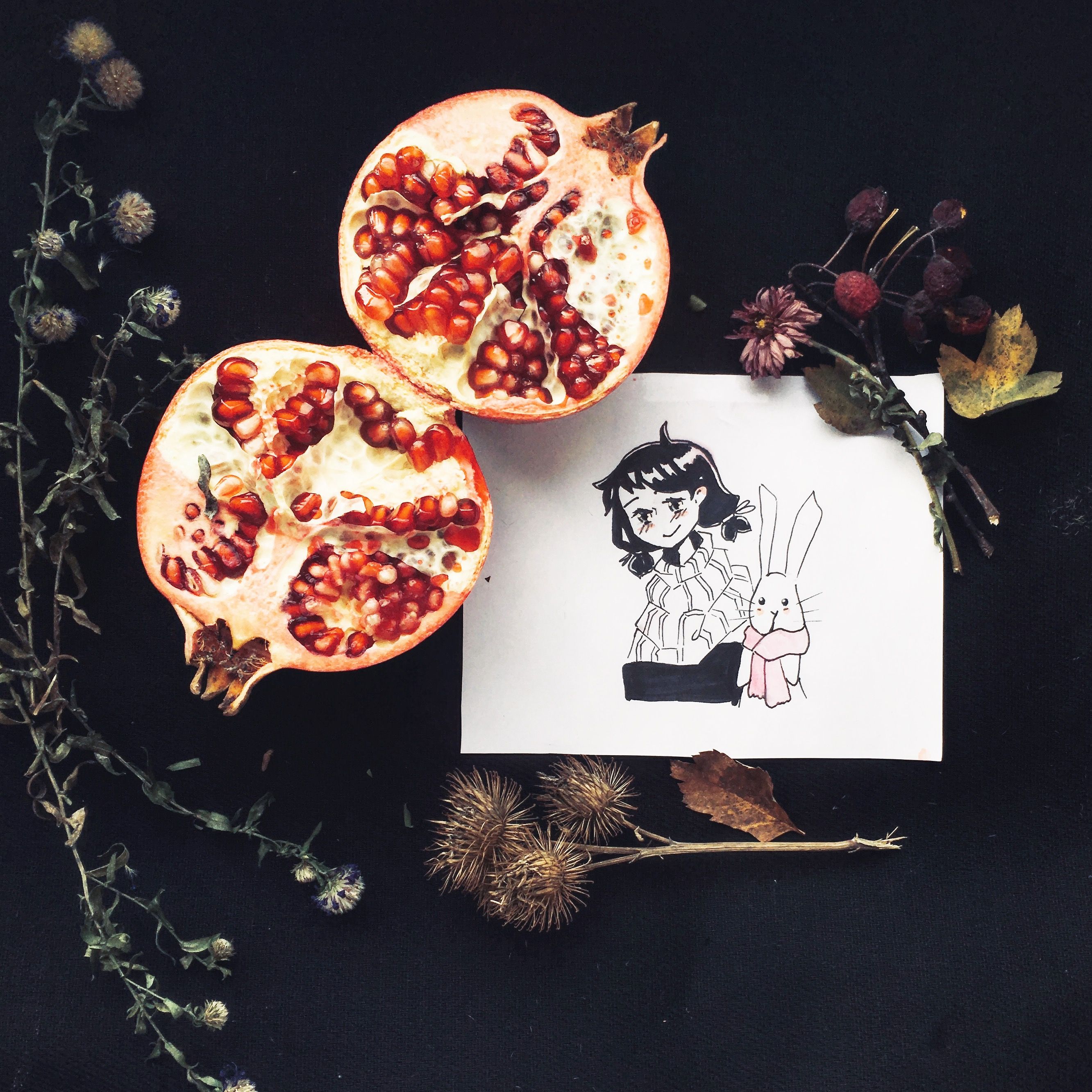 Cute Artwork Near Pomegranate and Flowers
