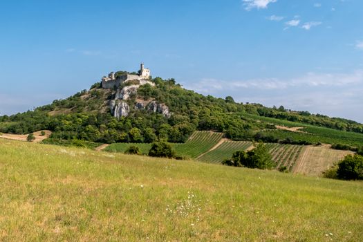 Beautiful castle atop a hill surrounded by lush greenery and a picturesque landscape under a clear blue sky.