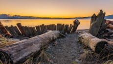 Brown Wood Logs on Sand during Sunset