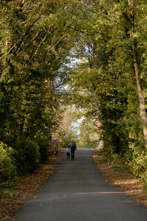 Free Person walking dog along a leafy path in South Cerney, showcasing nature's autumn beauty. Stock Photo