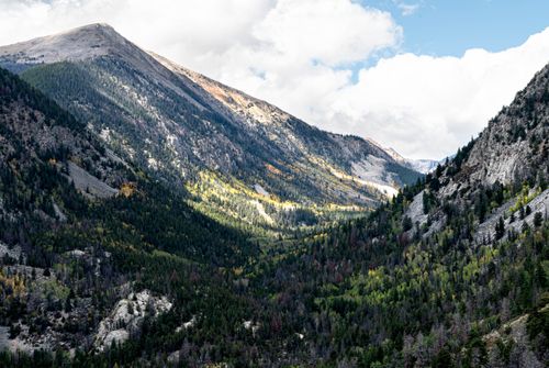 Free A breathtaking view of a lush, green alpine valley under a bright summer sky. Stock Photo