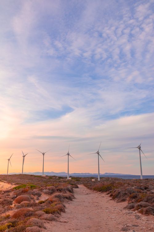 Free Wind turbines lining a desert path during a vivid sunset, showcasing renewable energy in an arid landscape. Stock Photo
