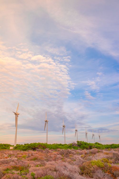 Free A row of wind turbines in a field with a colorful sky reflecting sustainability and renewable energy. Stock Photo