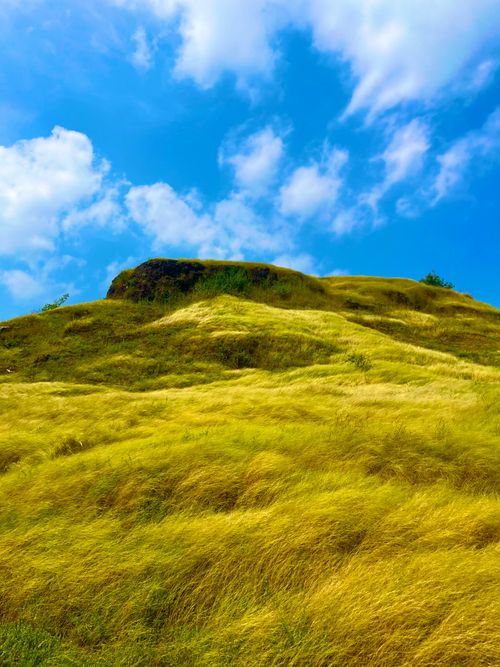 Free Serene view of a grass-covered hill against a blue sky with fluffy clouds. Ideal for nature and travel themes. Stock Photo