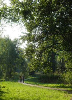 A serene scene of a couple walking down a sunny forest pathway surrounded by lush greenery.