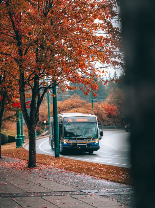 Free Scenic city street in autumn with vibrant leaves and a bus marked '246 Downtown'. Stock Photo