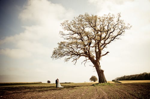 Free 男人和女人站在棕色的田野，附近白雲下綠樹 Stock Photo