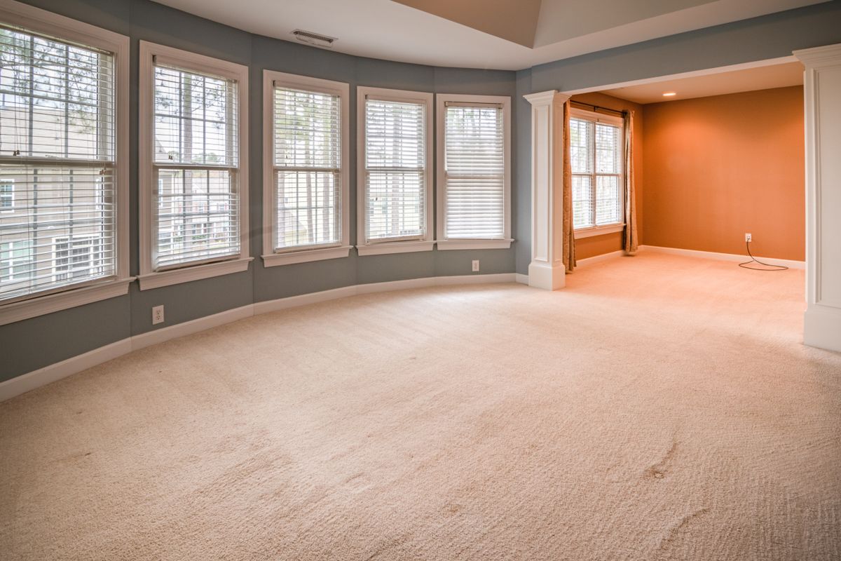 Comfortable bright room with soft neutral carpet suitable for a pet rest area
