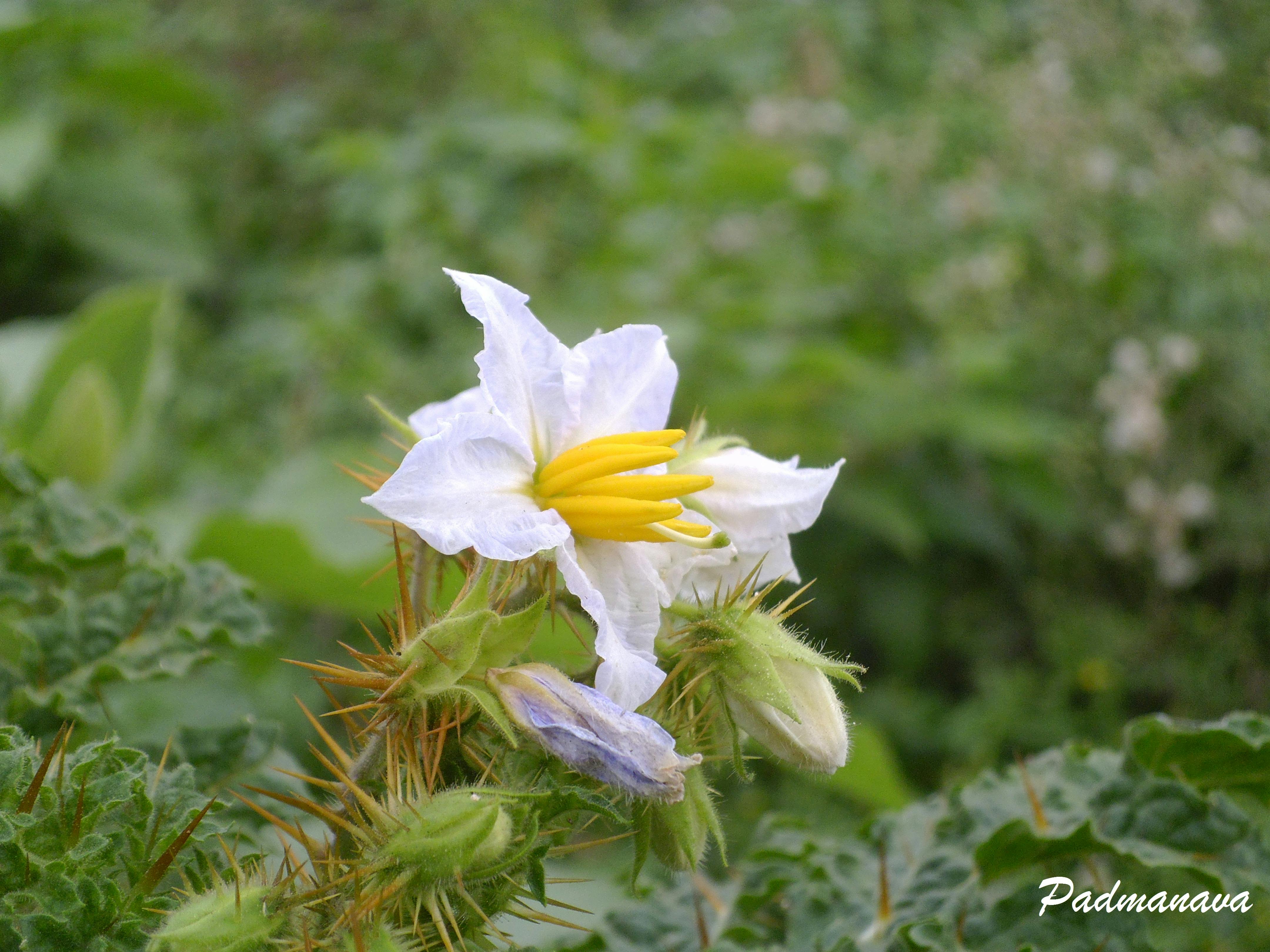 Young musicians practicing together at home