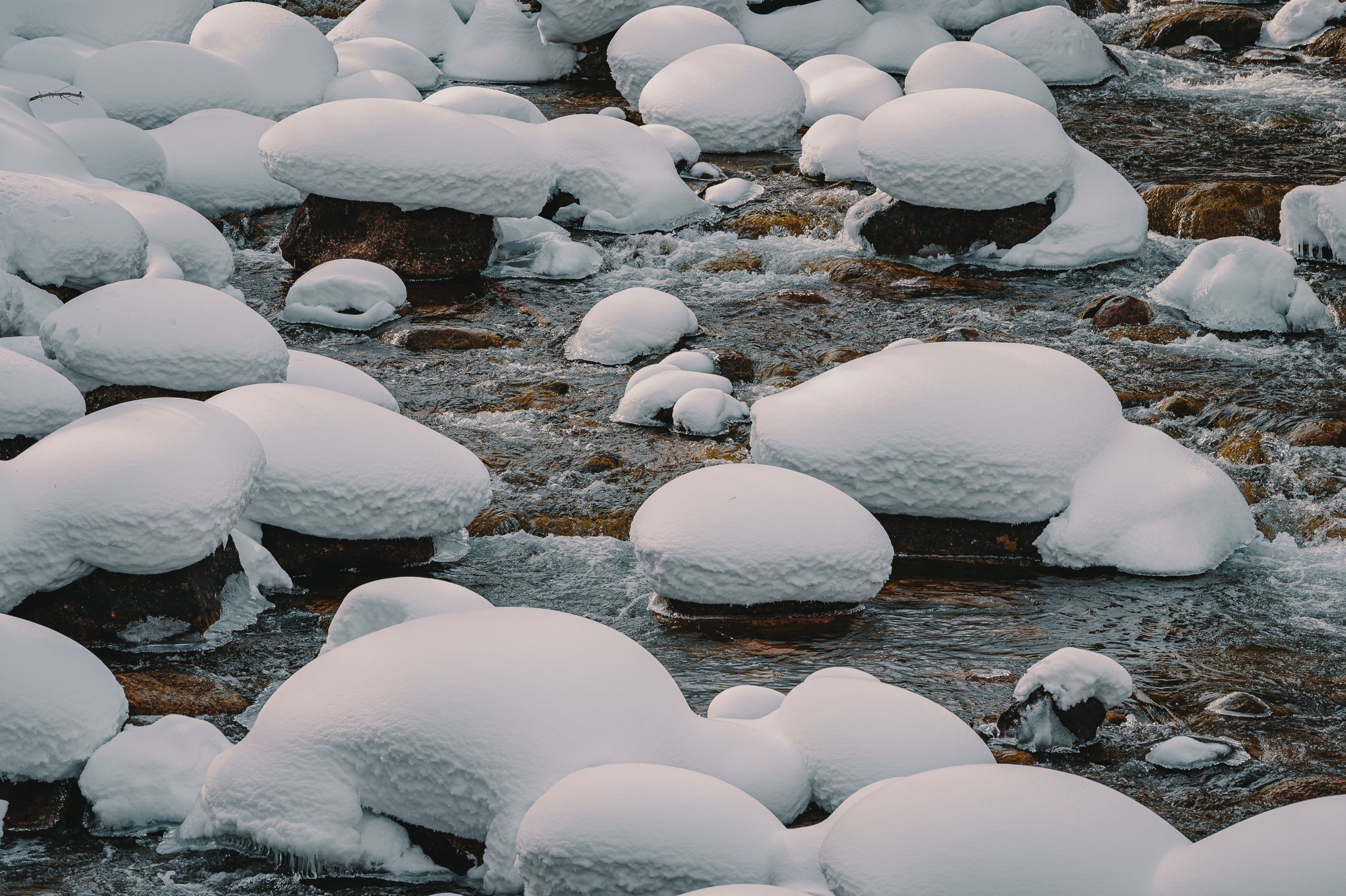 Rocks Covered in Snow · Free Stock Photo