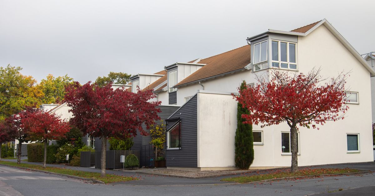 Charming suburban street in Jönköping, Sweden, showcasing vibrant autumn foliage and modern architecture.