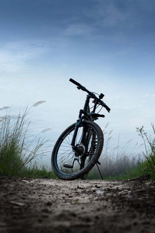 Free A mountain bike stands on a rugged dirt path surrounded by tall grass. Stock Photo