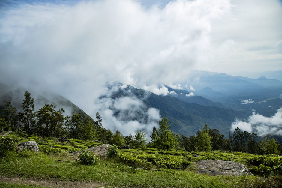 Fotomural Impresionantes vistas de montañas rodeadas de nubes y exuberante vegetación bajo un cielo brillante.