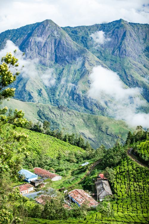 Free A scenic view of verdant tea plantations nestled in a mountainous landscape with scattered clouds. Stock Photo
