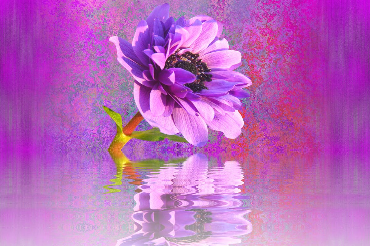 Football player celebrating a goal in front of cheering fans