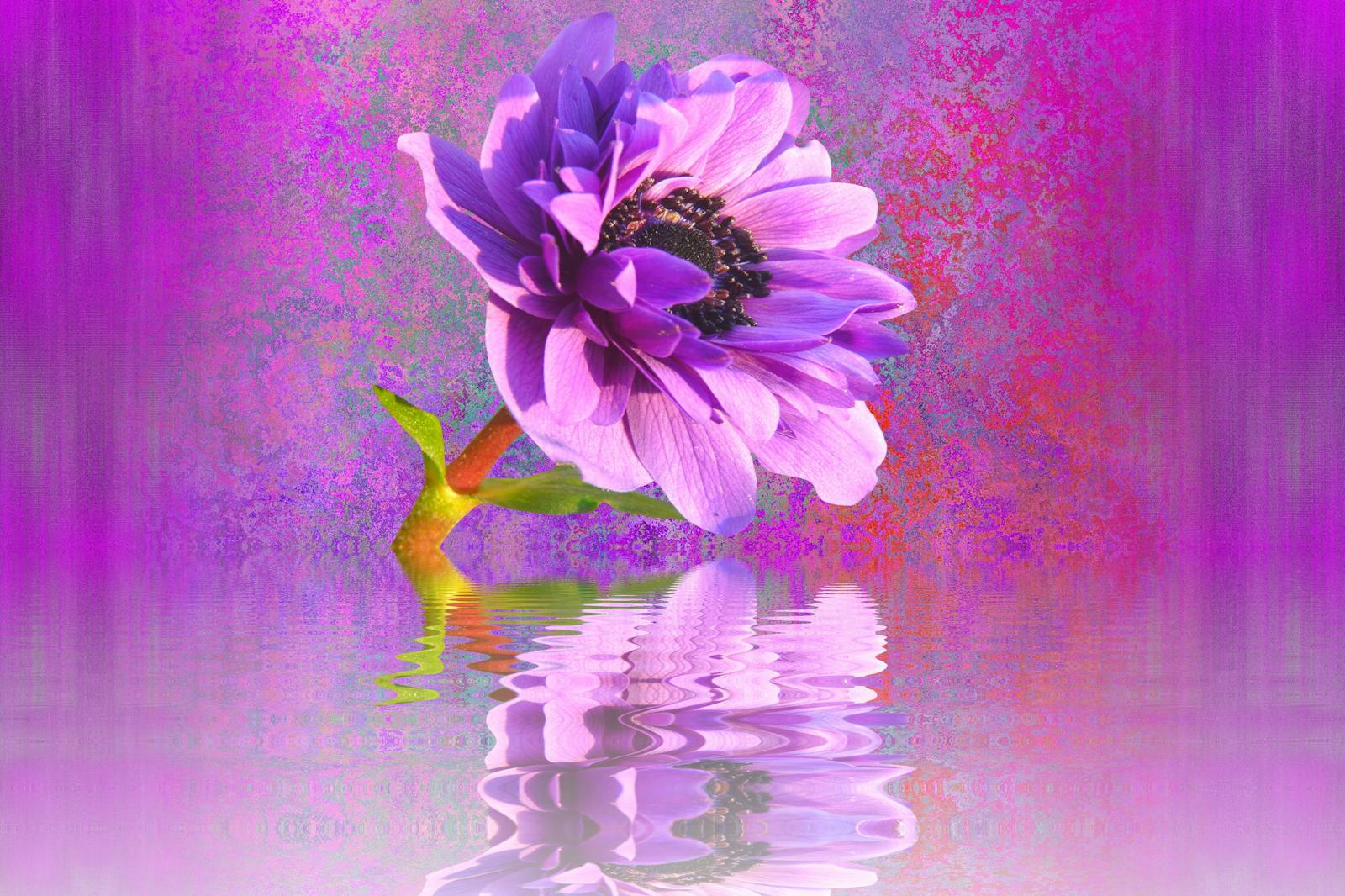 Large football crowd in a stadium with flares and banners creating an intense atmosphere