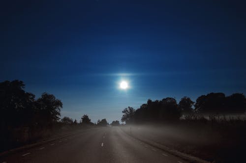 Základová fotografie zdarma na téma krajina, les, noc