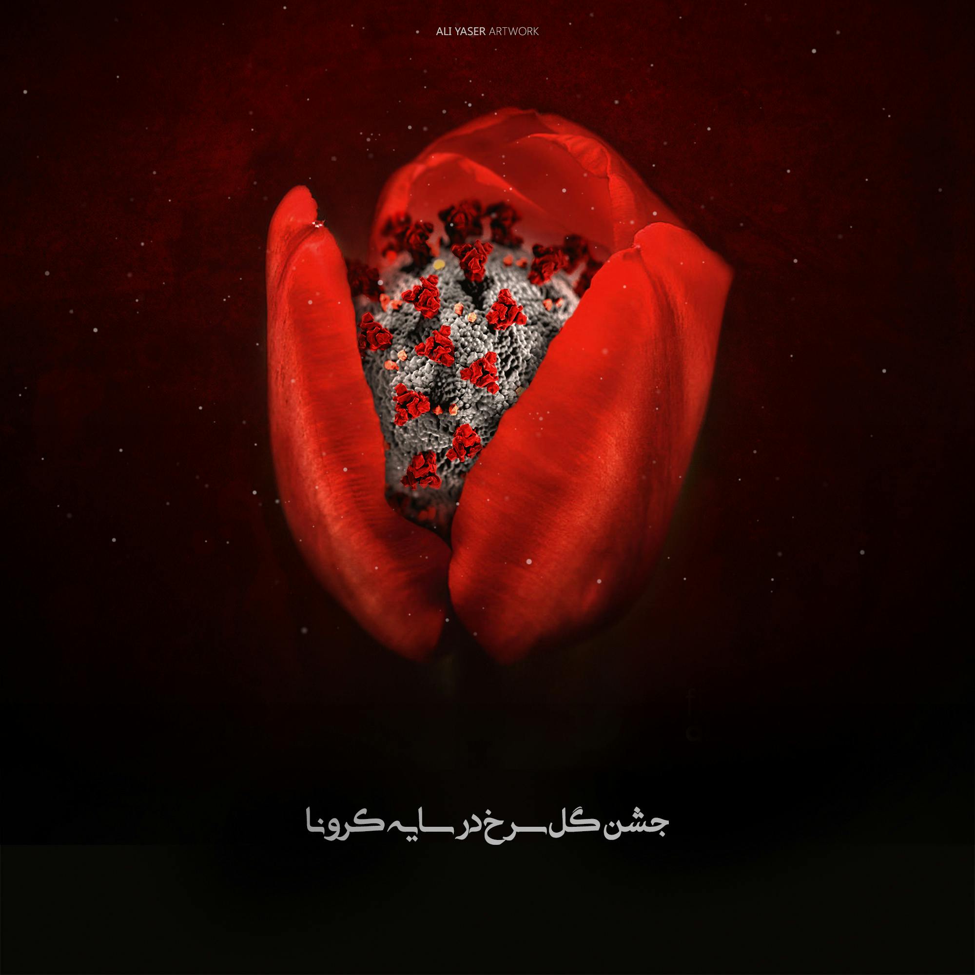 الكاميرون ضد بوركينا فاسو