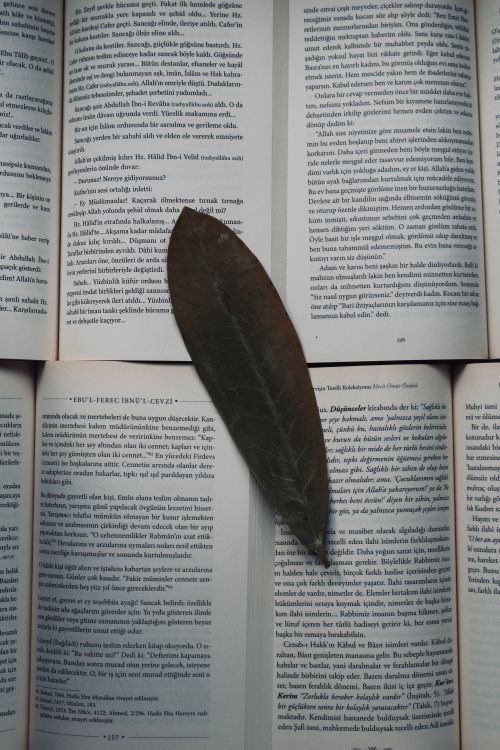 Free A dried leaf lies atop open book pages with text. Stock Photo