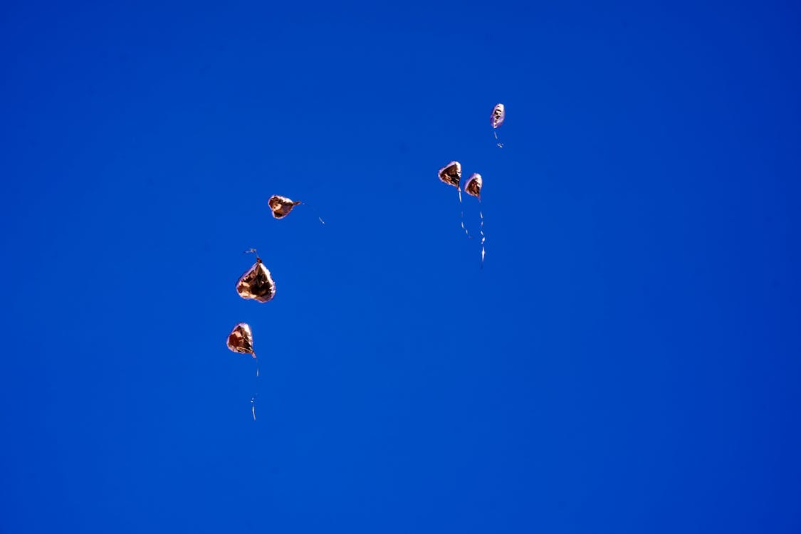 Chef femenina trabajando en una cocina profesional, representando la diversidad en la industria.