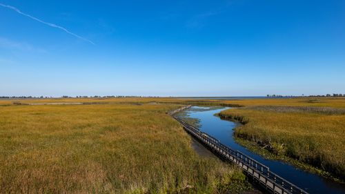 Free Serene view of a boardwalk cutting through expansive golden marshlands under a clear blue sky. Stock Photo