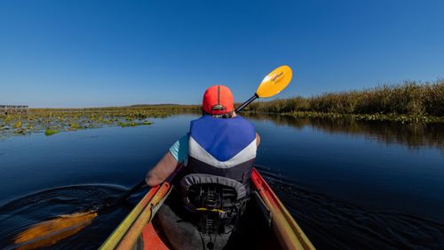 Free Rear view of a kayaker exploring marshland in bright daylight under clear blue skies. Stock Photo