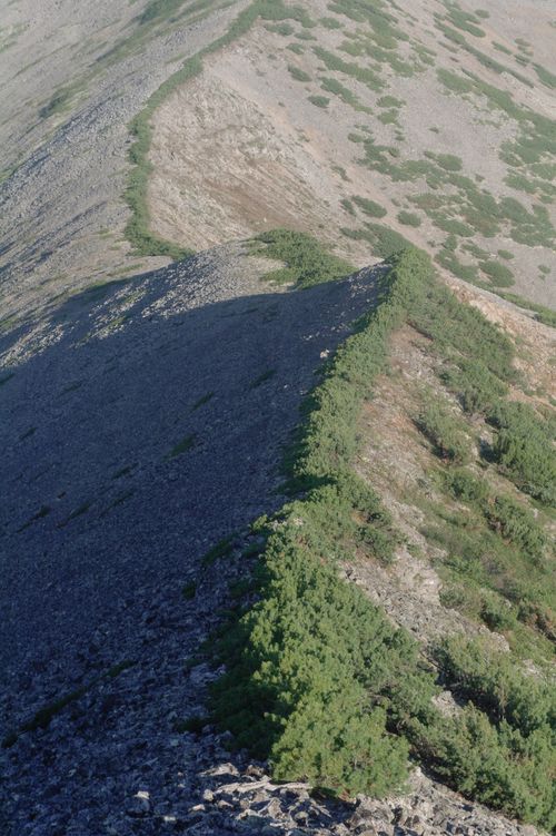 Free Explore a stunning aerial shot of a rugged mountain ridge with sparse vegetation and dramatic shadows. Stock Photo