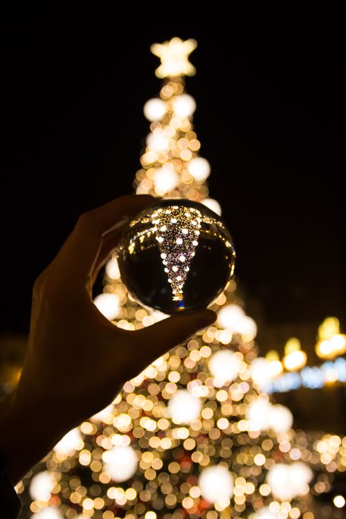 Glaskugel, die den Weihnachtsbaum spiegelt · Kostenloses Stock-Foto