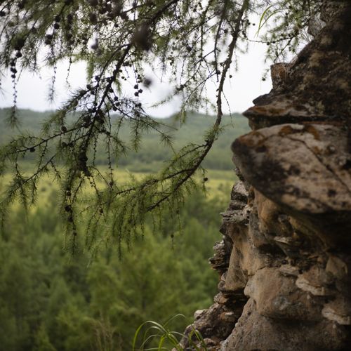 Free Serene landscape showcasing a dense green forest and a rugged rocky cliff. Stock Photo