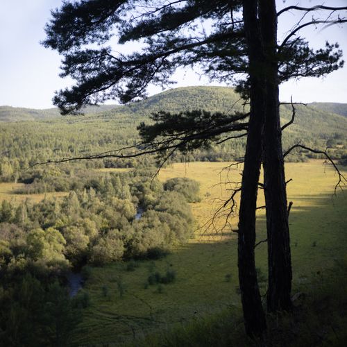 Free Tranquil mountain valley with lush green forest and open meadow under clear sky. Stock Photo