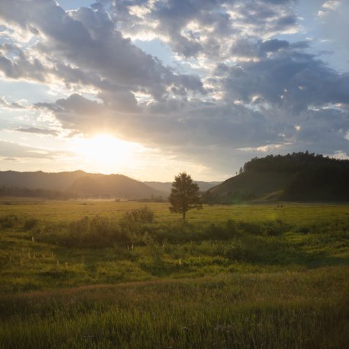 Free Beautiful countryside sunset with a solitary tree and cloudy sky, creating a peaceful ambiance. Stock Photo