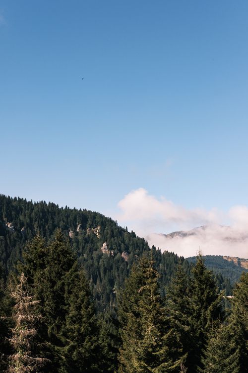 Free Stunning mountain landscape in Giresun, Türkiye with lush forests and clear blue skies. Stock Photo