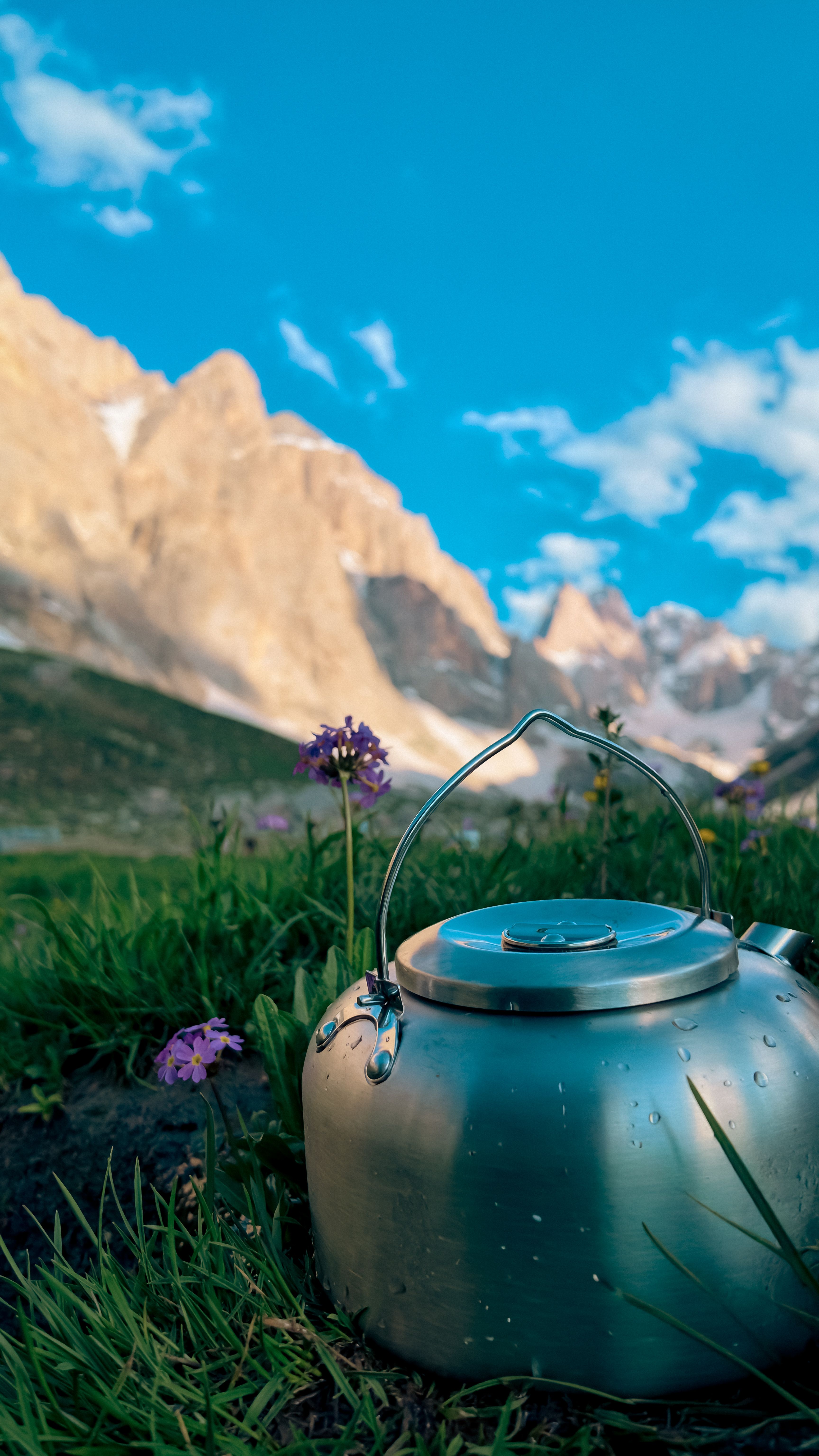 A serene mountain view with a kettle on grassy terrain, perfect for outdoor enthusiasts.