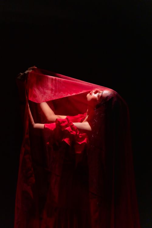 Free Artistic portrait of a woman draped in a flowing red fabric, exuding mystery and elegance. Stock Photo