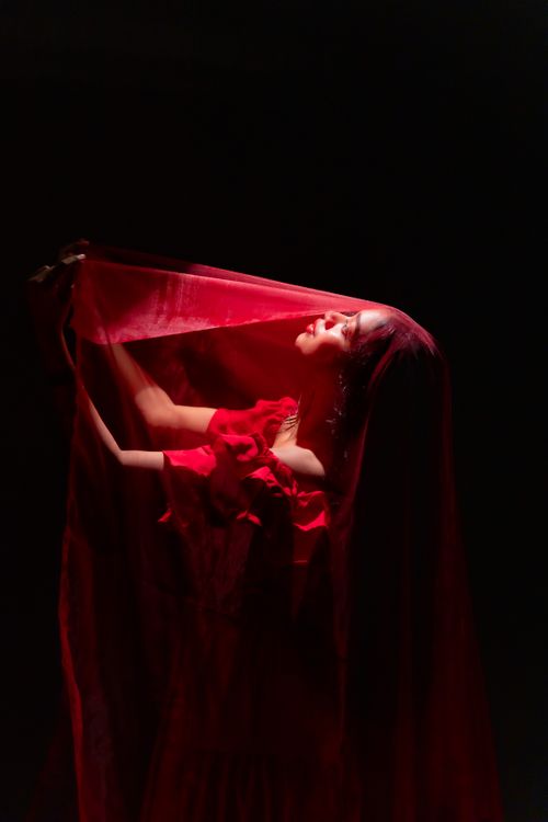 Free Artistic portrait of a woman in a flowing red dress under a veil, bathed in dramatic light. Stock Photo